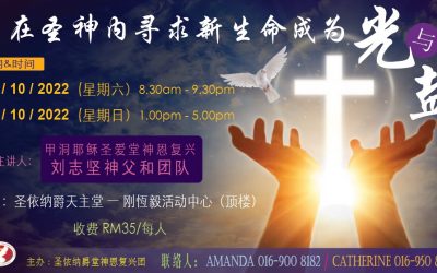 在圣神内寻求新生命成为光与盐