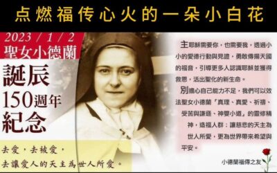 2023 点燃福传心火的一朵小白花