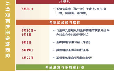 2025年八打灵总铎区 牧民计划