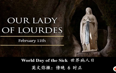 2026 世界病人日