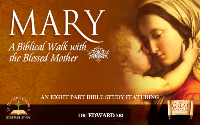 New Study Module – Registration Starts from 1 Aug