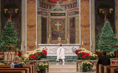 Holy Hour: Pray for Vocations – Thu 3 Sep @ 8 pm