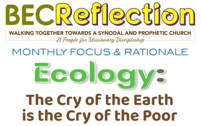 BEC Reflection Paper – Nov 2026