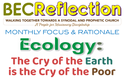 BEC Reflection Paper – Nov 2026